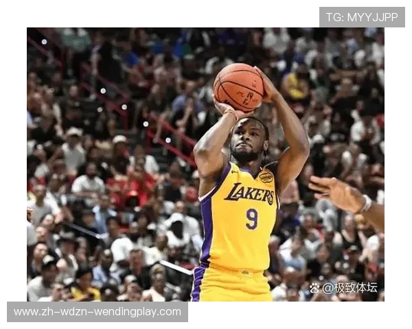 火箭队2009年对湖人的比赛全程录像